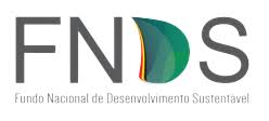 FNDS
